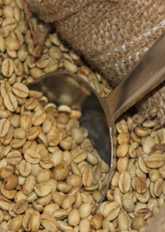 Rohkaffee 250g